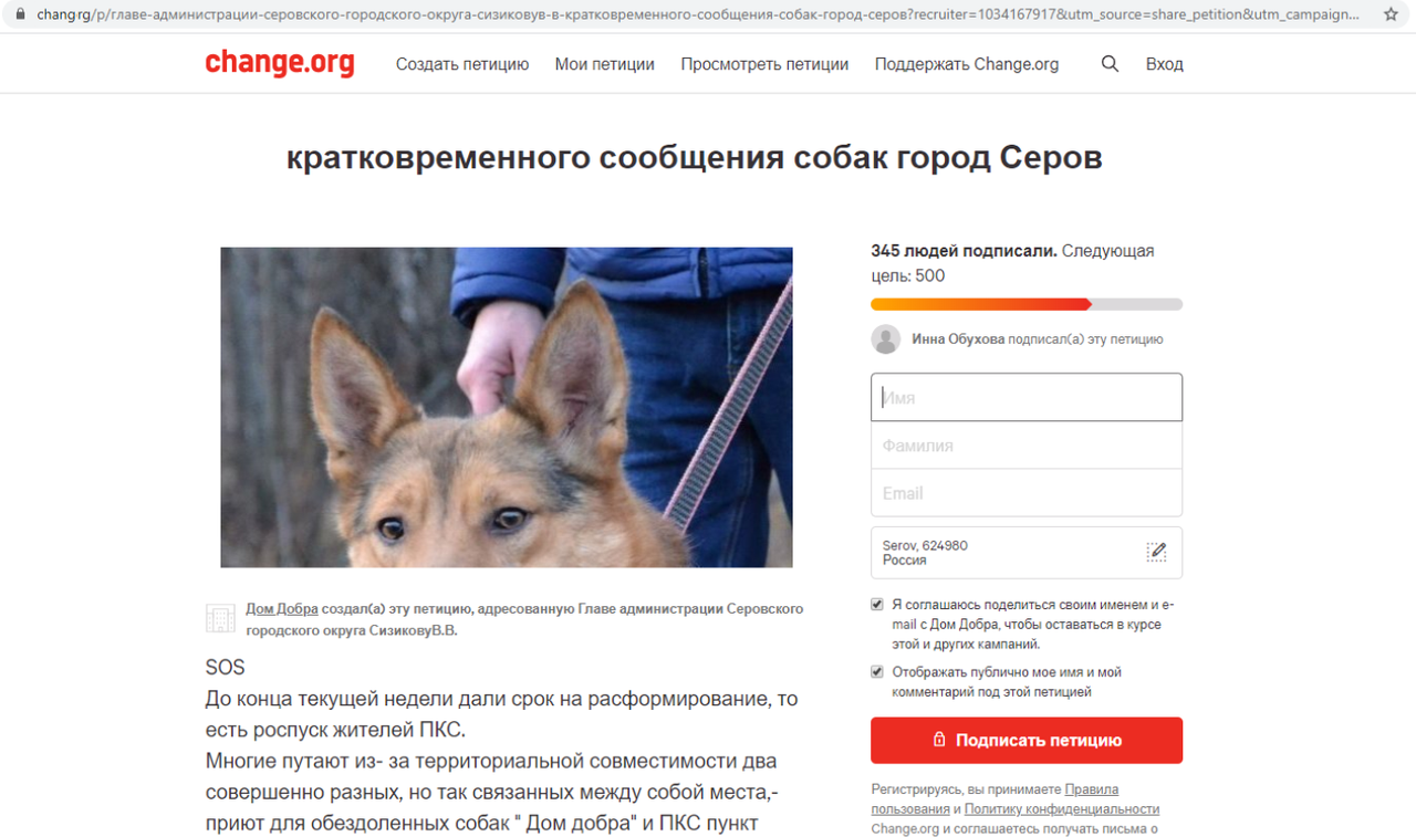 Серовские зоозащитники создали петицию против выпуска отловленных собак