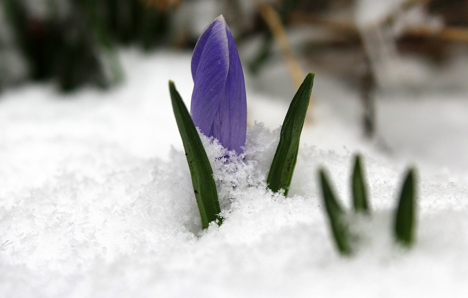 Зима отступит только 20 марта: главный синоптик Свердловской области о погоде