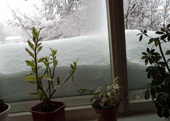 Снег на Урал придет на третий день зимы