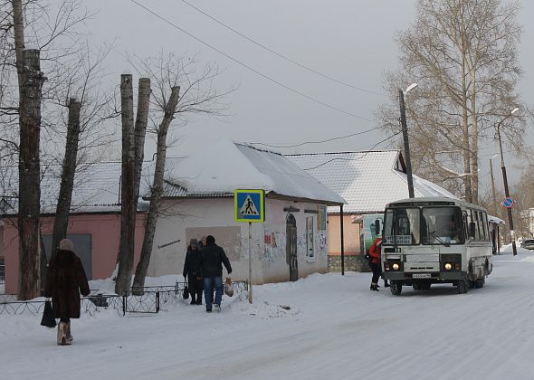 Руководство отдела полиции Североуральска прокомментировало стрельбу в Черемухово