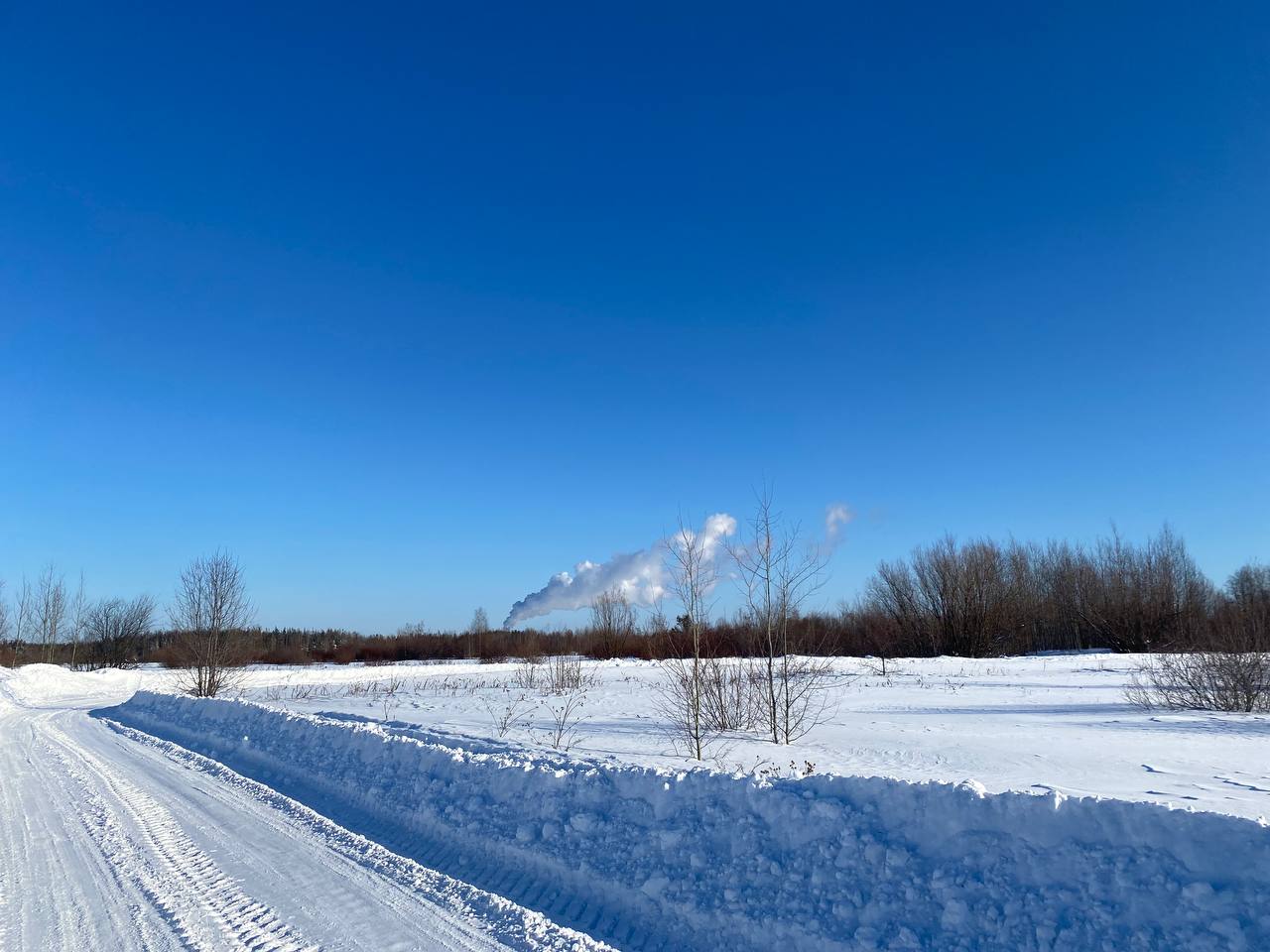 Синоптики прогнозируют потепление после морозных выходных