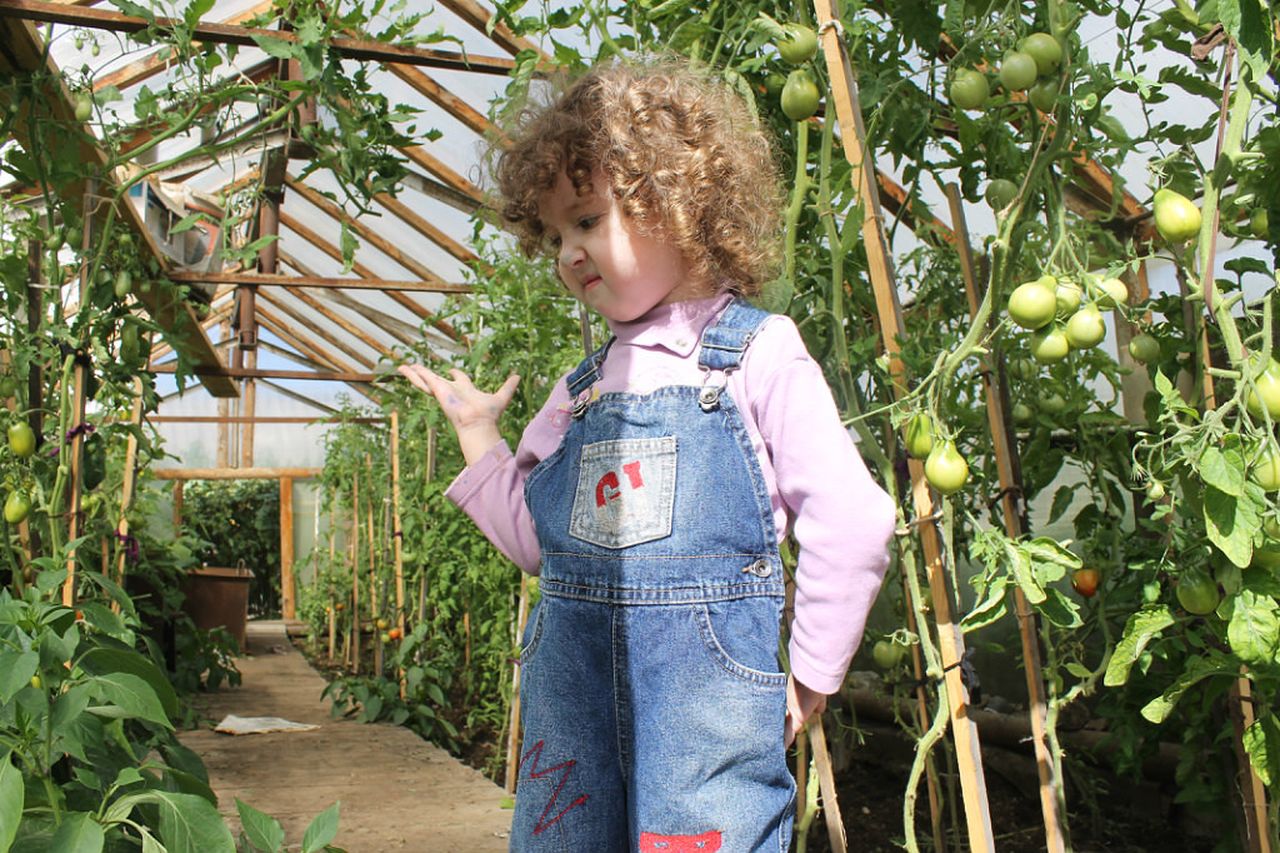 Открываем дачный сезон. Готовим почву для рассады и знакомимся с сортами-новинками