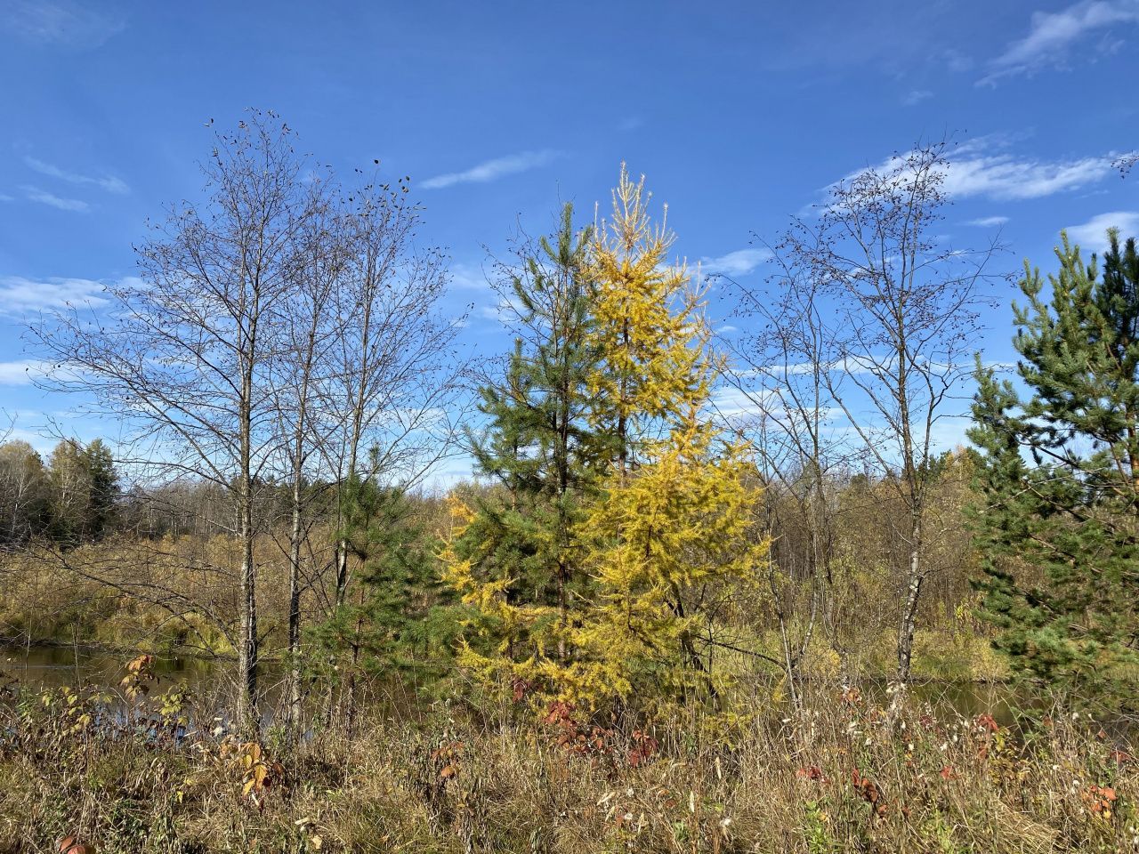 Синоптики прогнозируют умеренную погоду с небольшими осадками