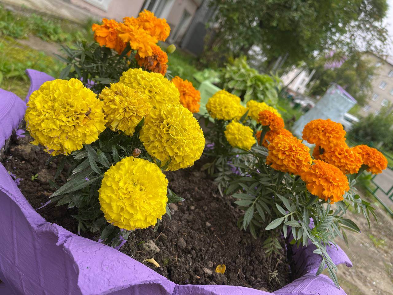 Синоптики обещают теплую и сухую погоду до 5 августа