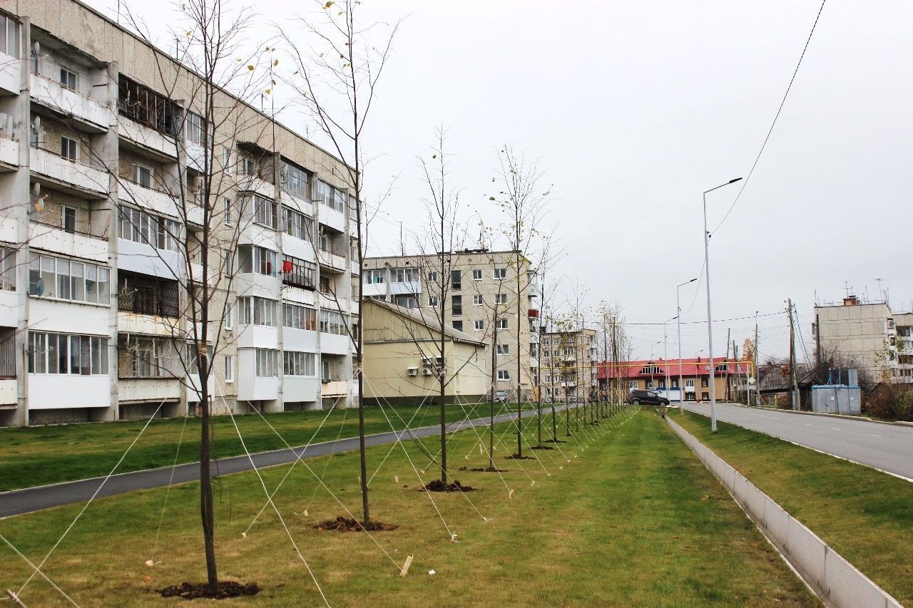 В Волчанске высадили более трехсот деревьев