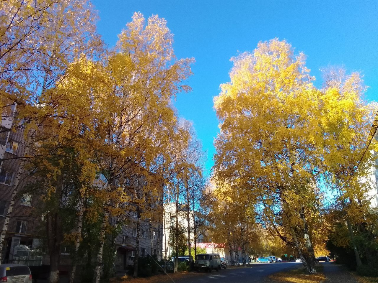 По предварительным прогнозам синоптиков, октябрь ожидается теплым