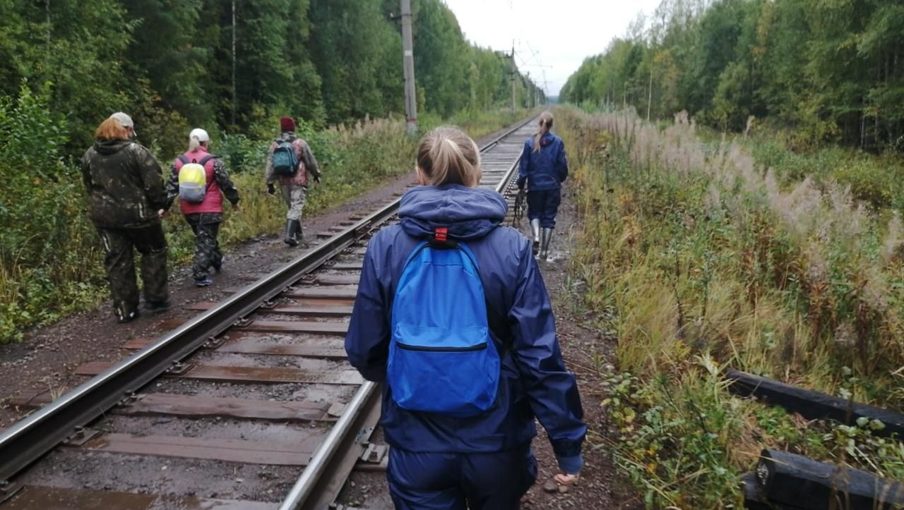 В Волчанске спасатели уже третьи сутки ищут пропавшего в лесу человека