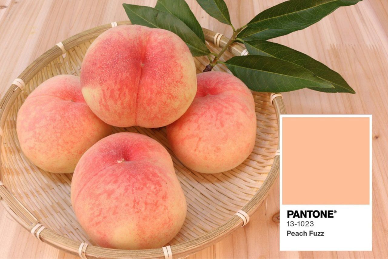 «Персиковый пух»: эксперты назвали главный оттенок грядущего года