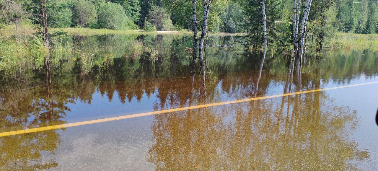 Вода подтопила дорогу между Карпинском и Волчанском