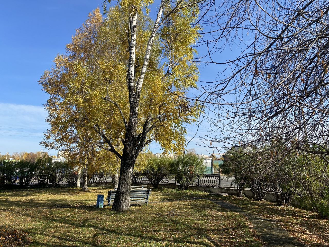 Синоптики прогнозируют сухую и прохладную погоду