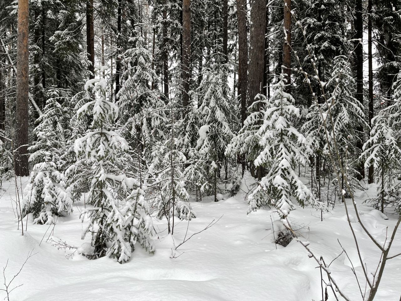 На севере области ожидается потепление до 0 градусов