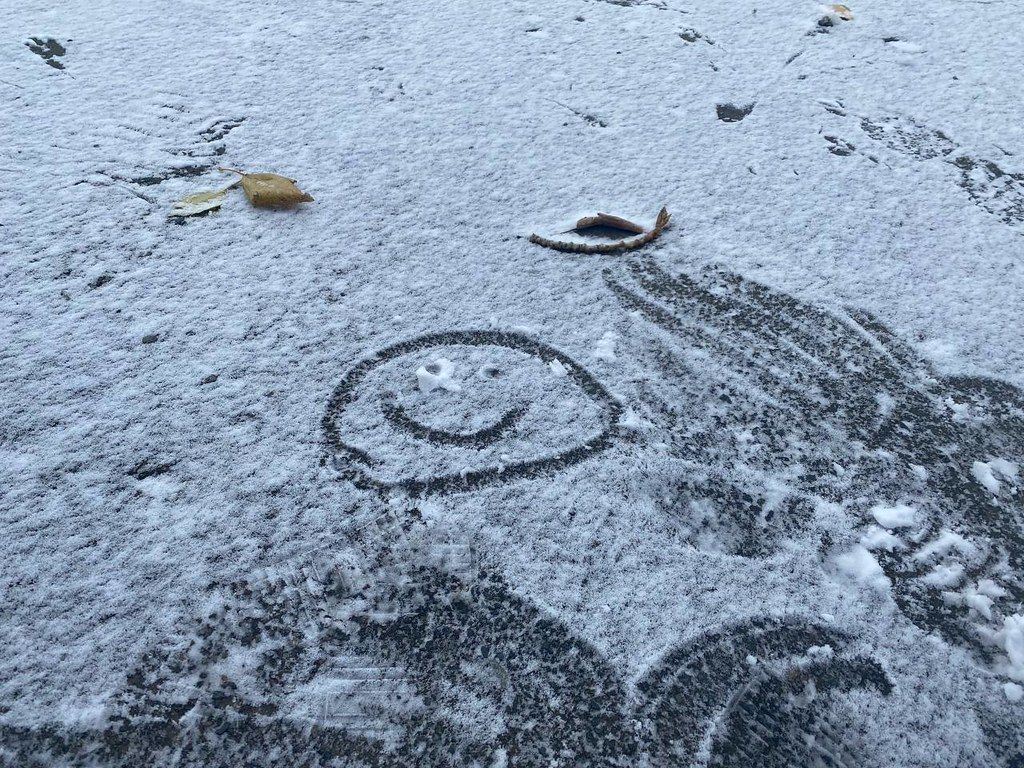 Синоптики обещают на севере области заморозки, а на юге региона - снег