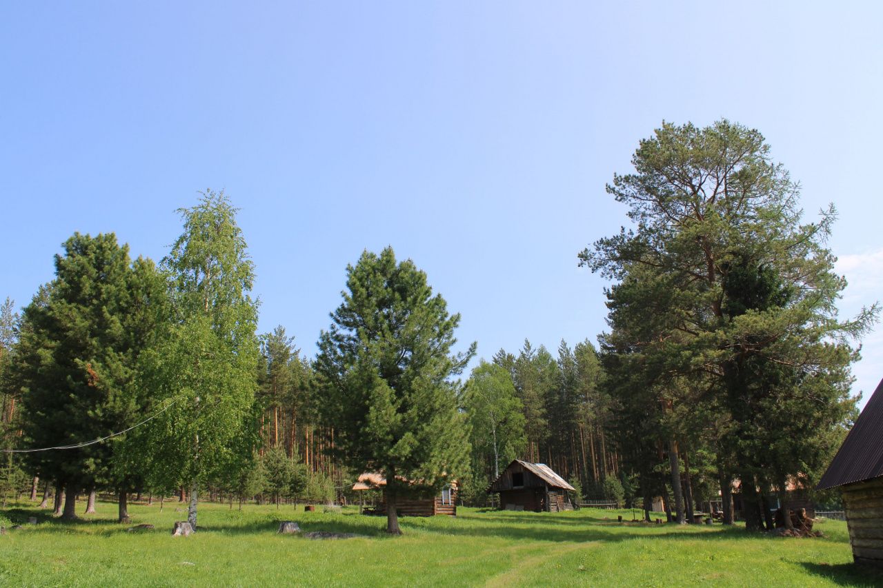 Четыре Наташи, Алла, Валя, Надя, семеро мужчин и шесть куриц-несушек… Едем на Баронское