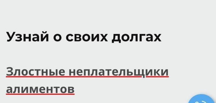 Заработал цифровой реестр должников по алиментам