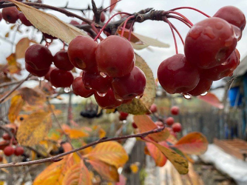 Синоптик предупреждает: север области ждет похолодание