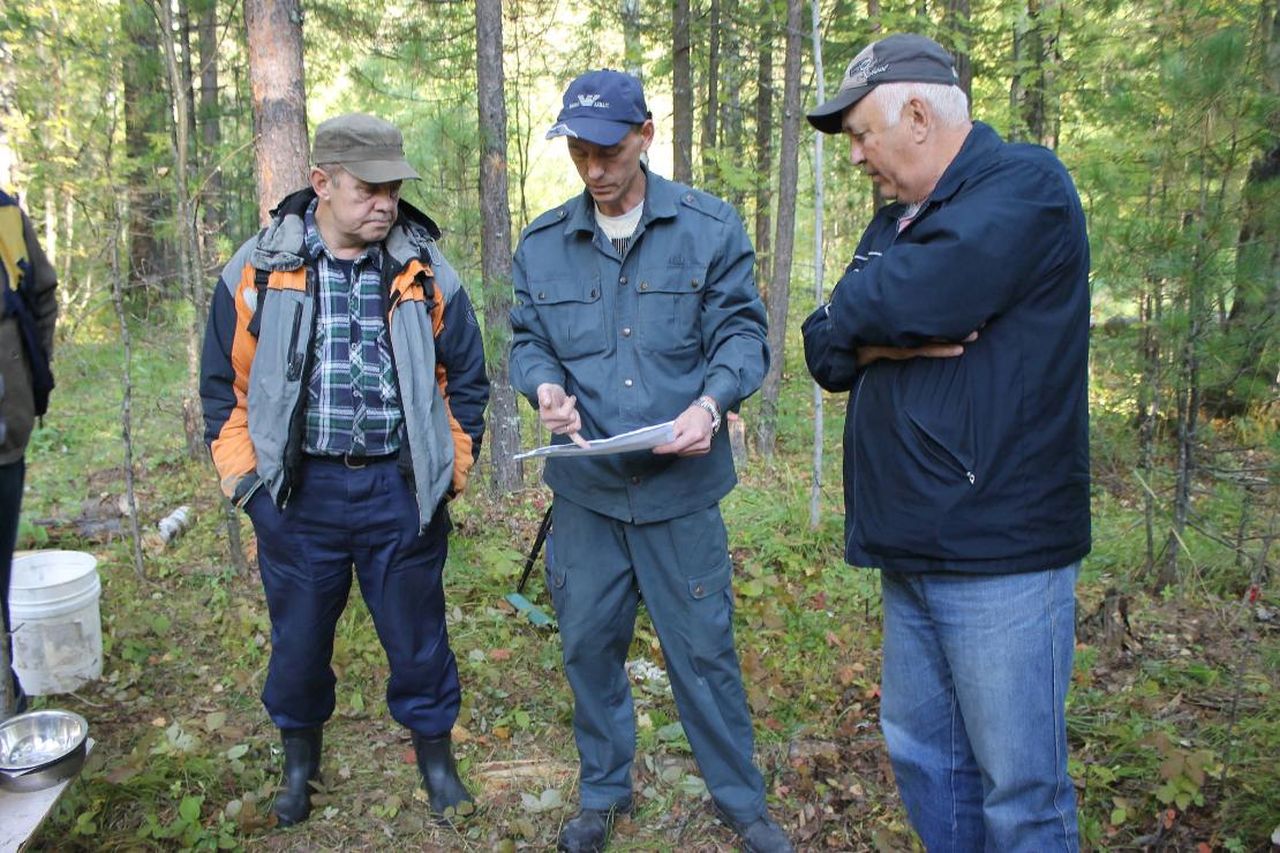 "Собаки два раза взяли след, но он... прервался". В Серове продолжаются поиски пропавшего грибника