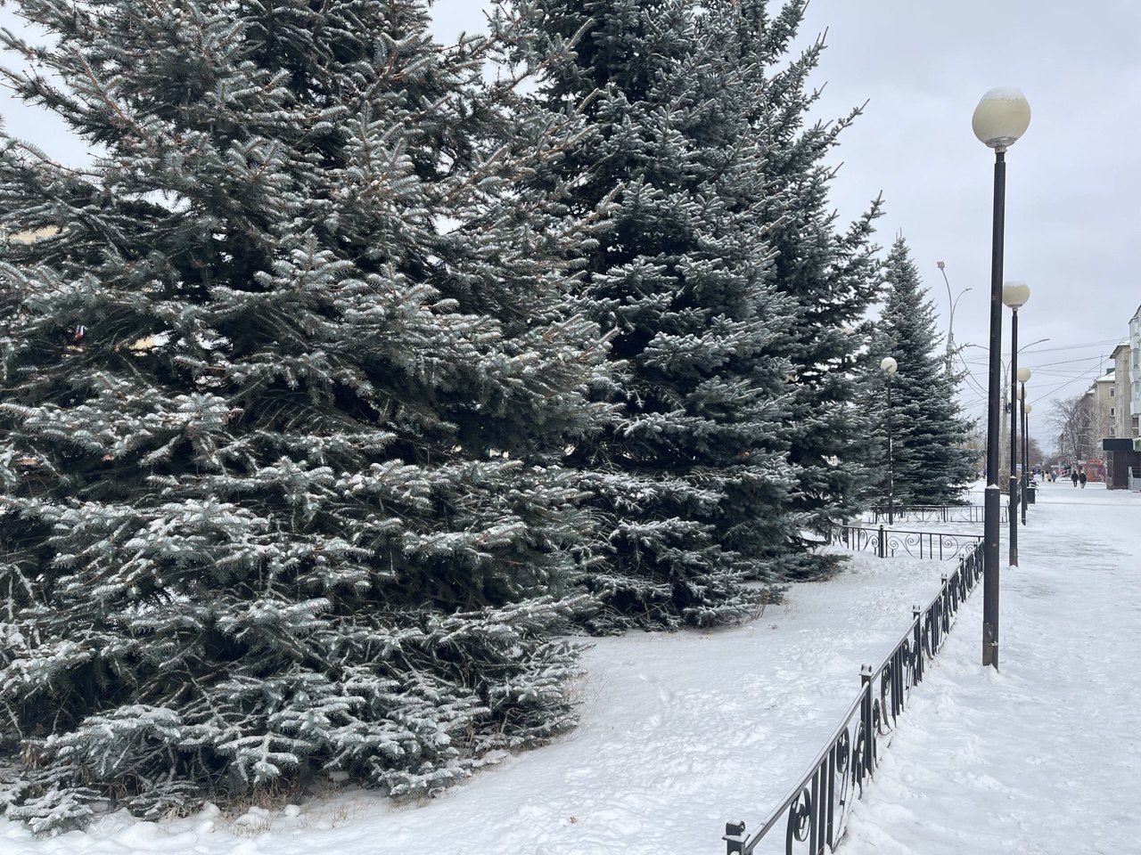 Синоптики прогнозируют теплую и малоснежную погоду на севере области