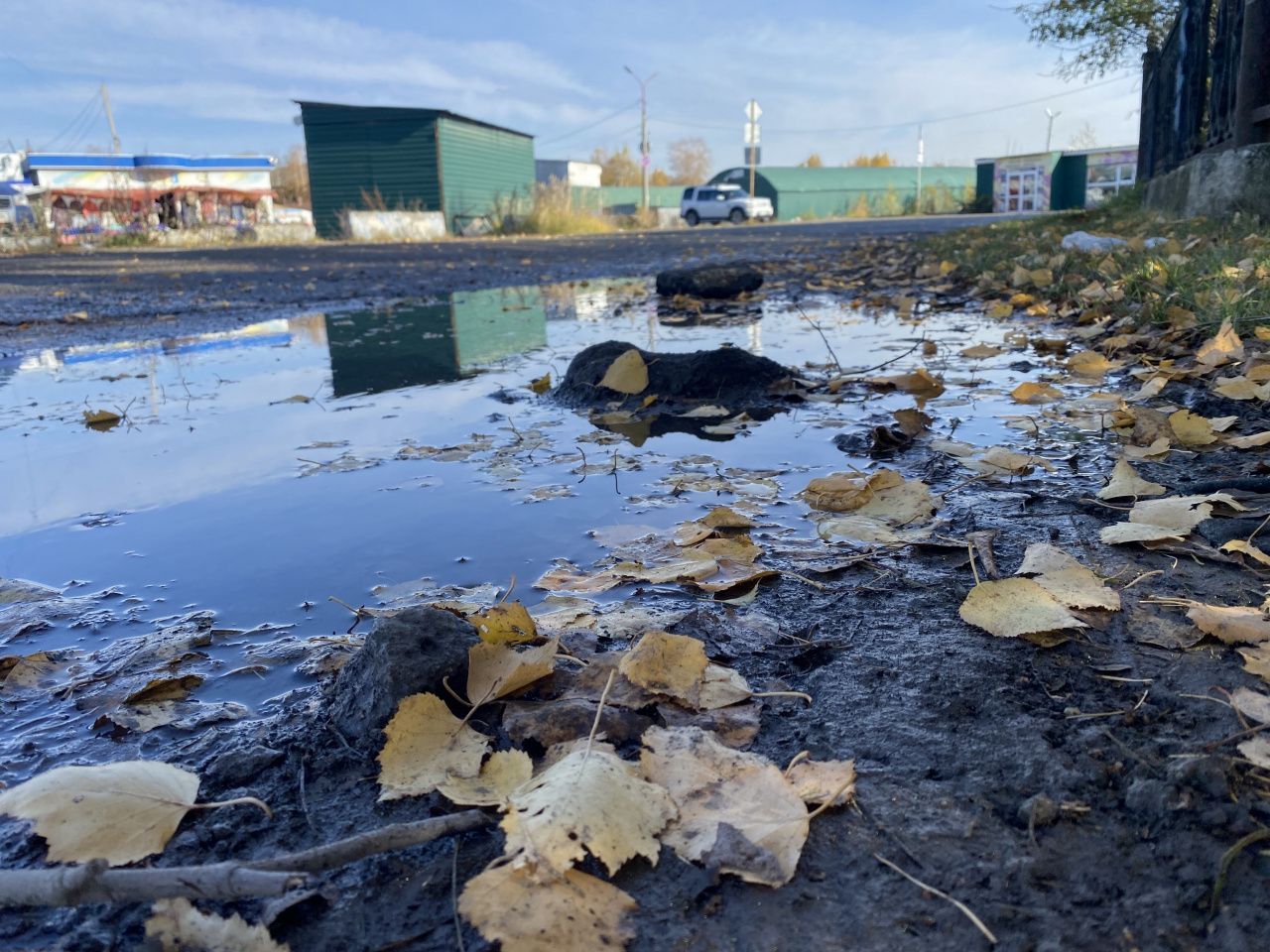 Комфортная погода сентября сменится теплым октябрем?