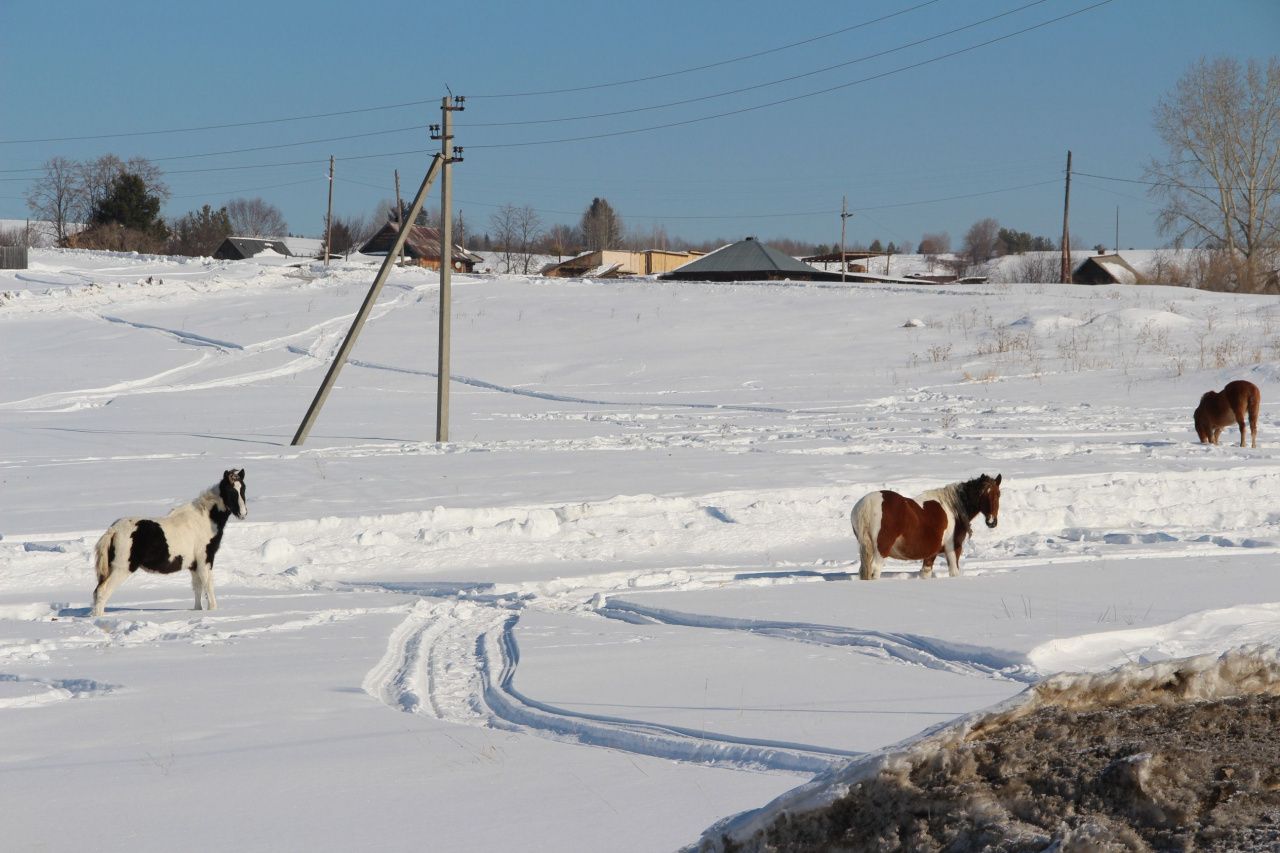 Потепление на севере области синоптики обещают с 23 марта