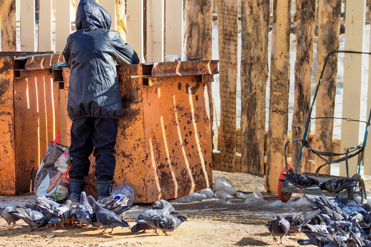 Вывозить мусор по-новому и за большую плату начнут с 1 января