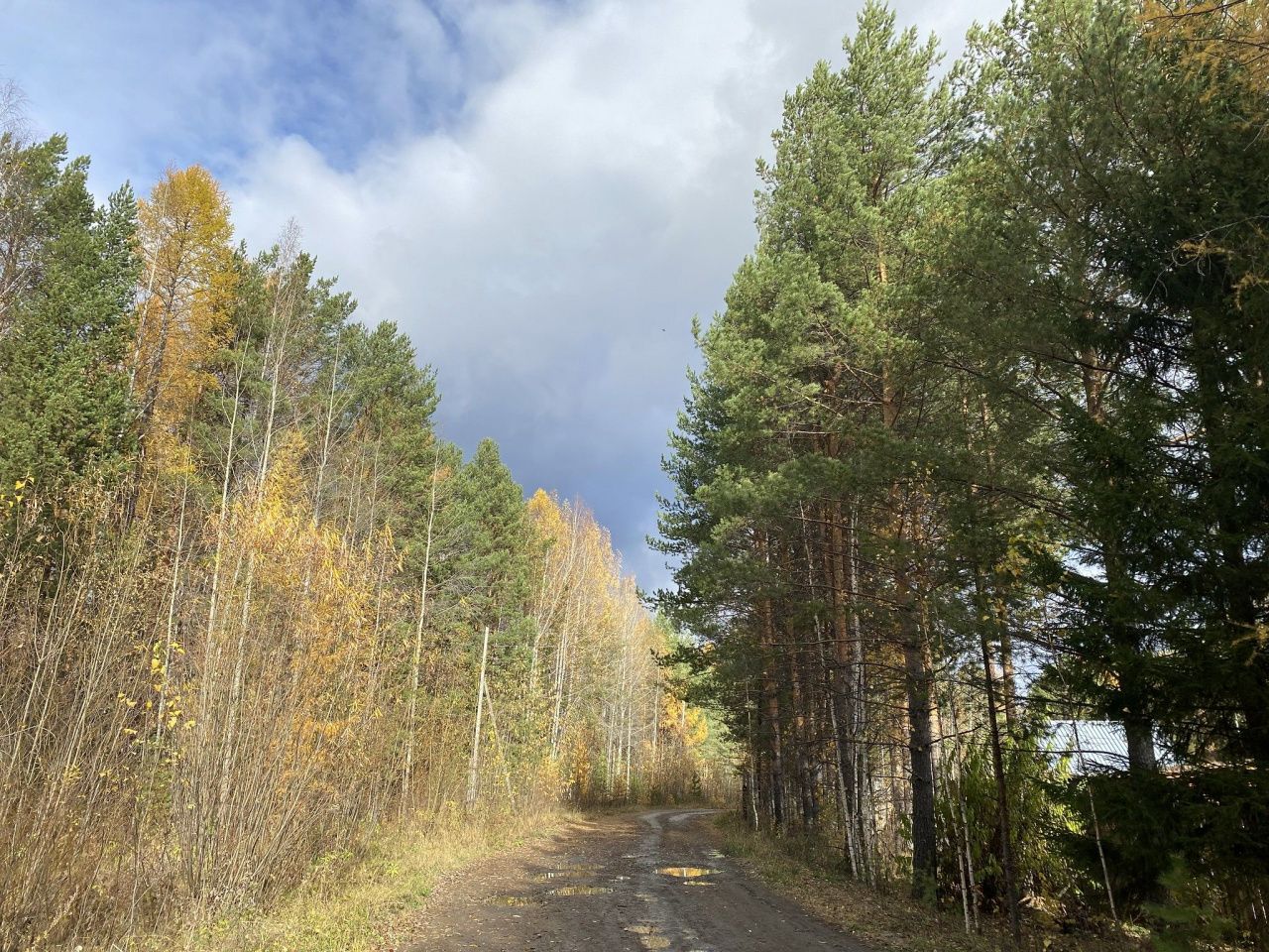 Синоптик прогнозирует, что на Покров снега не будет