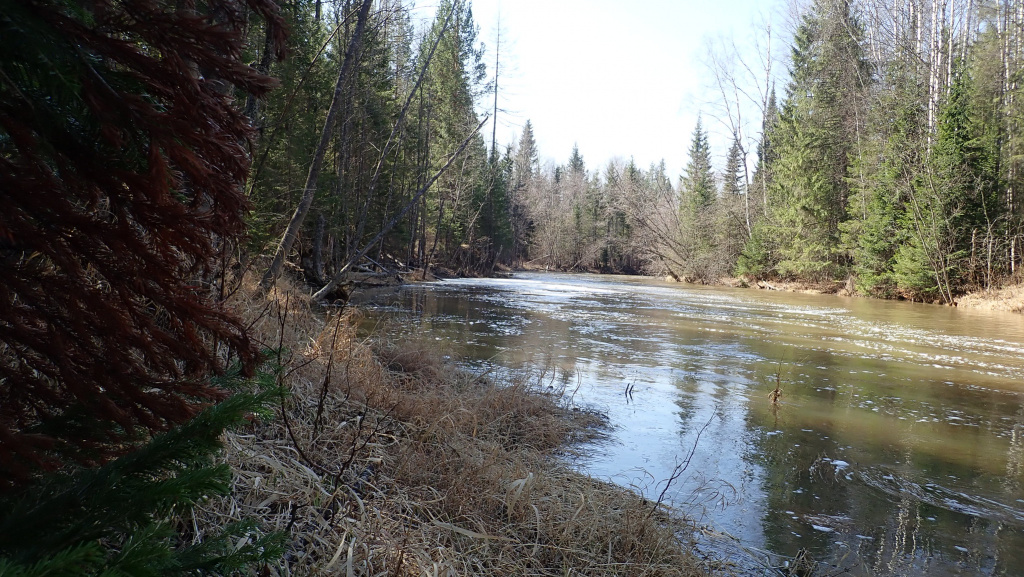 Зеленые воды Шегультана. Фото: Константин Возьмитель, архив "Глобуса"