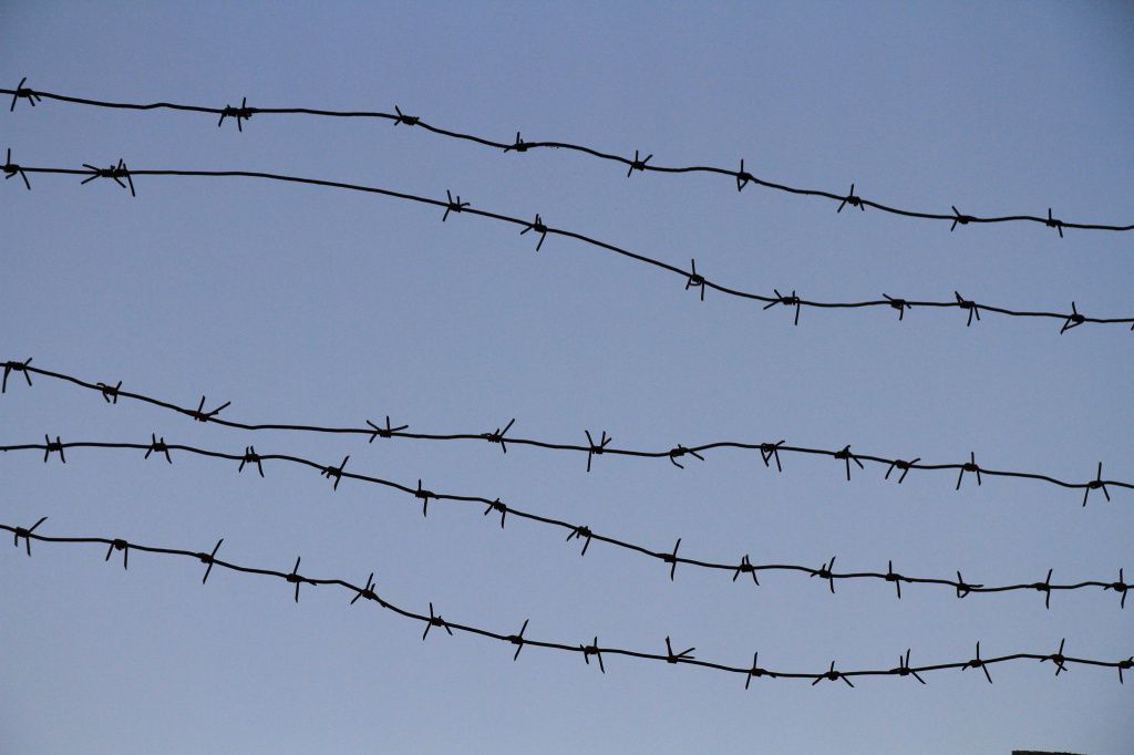 Проблему заключенных "с советскими паспортами", которые находились в "Черном беркуте", удалось решить. Фото: Константин Бобылев, "Глобус"