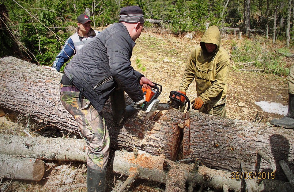 Фото: Александр Никишов