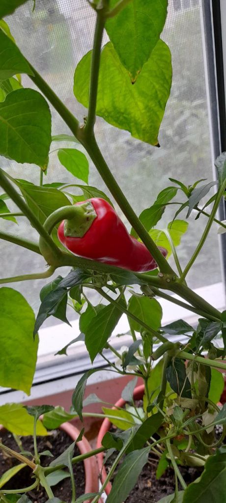 Фото: Андрей Гребенкин, «Глобус»