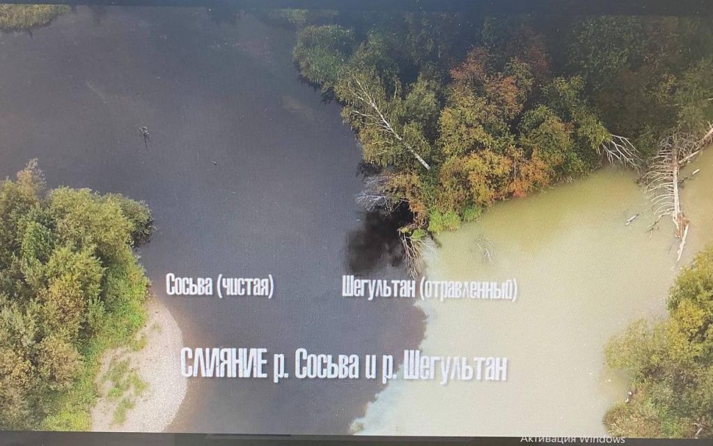 На видео хорошо видно, как зеленые воды Шегультана вливаются в чистые воды Сосьвы. Фрагмент видеозаписи слияния рек. Фото: Анна Куприянова, "Глобус"