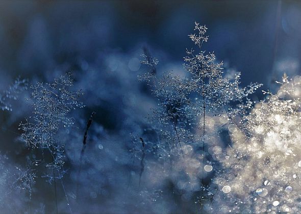 В конце недели ожидается сильное похолодание