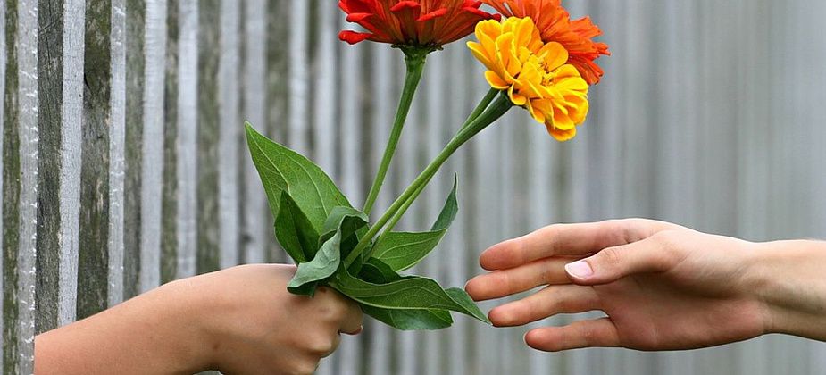 Учителям и врачам могут запретить принимать любые подарки, кроме цветов