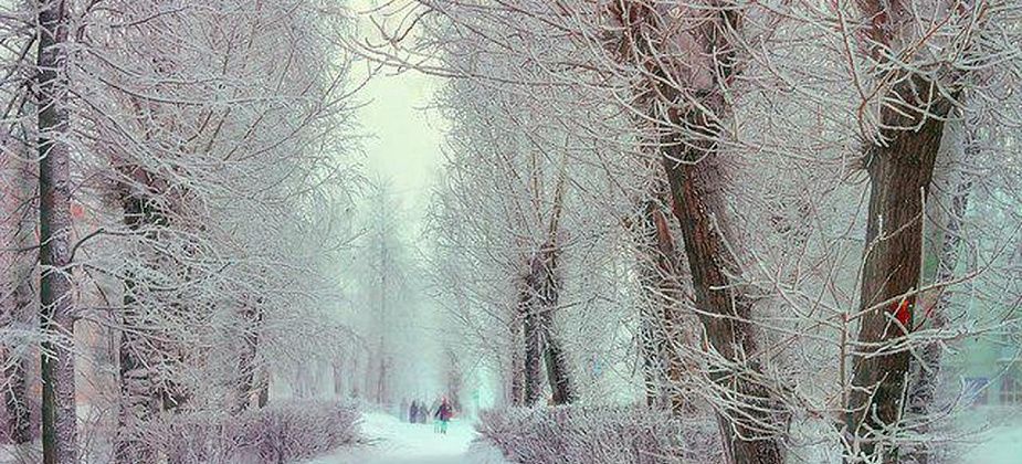 Нынешняя зима будет мягкой и малоснежной. Проверяем народные приметы