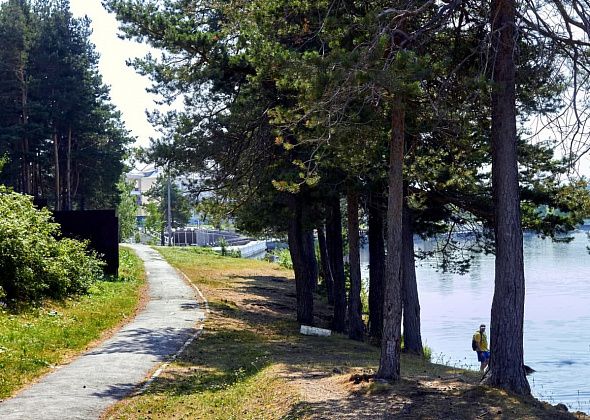 Ближайшие дни на севере области будет умеренно тепло