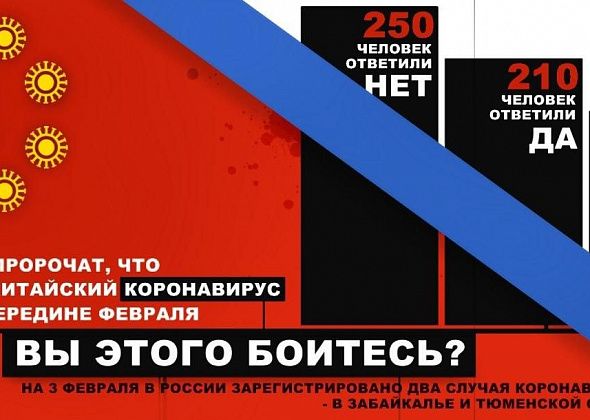 Большинство читателей не боятся коронавируса