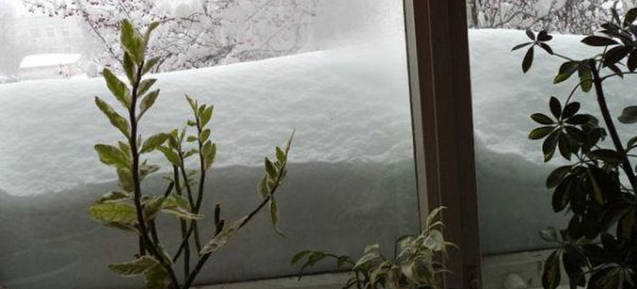 Снег на Урал придет на третий день зимы