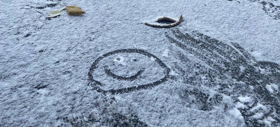 Синоптики обещают на севере области заморозки, а на юге региона - снег