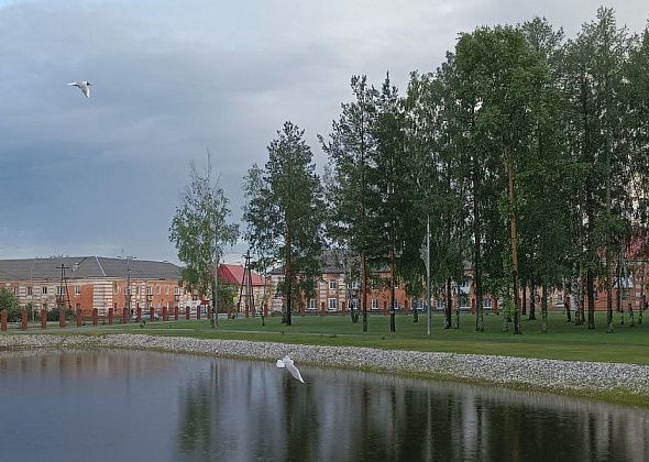 Волчанцев приглашают на оздоровительную прогулку в парке