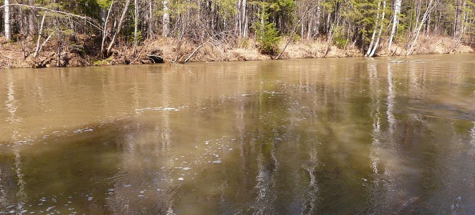 "Живой Шемур" опубликовал результаты анализов проб воды из озера Светлого и дренажного узла, вода из которого используется для водоснабжения Североуральска