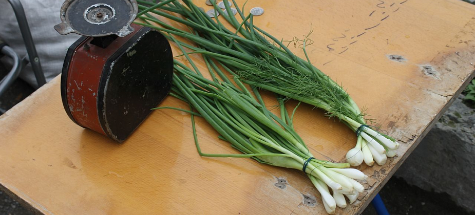 Мэрия Волчанска утвердила даты городских ярмарок на 2026 год