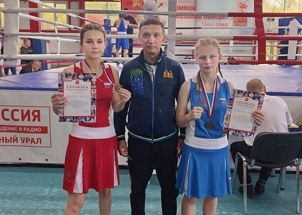 Волчанские спортсменки заняли призовые места на челябинском турнире по боксу