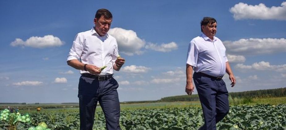 Евгений Куйвашев ввел режим ЧС из-за засухи