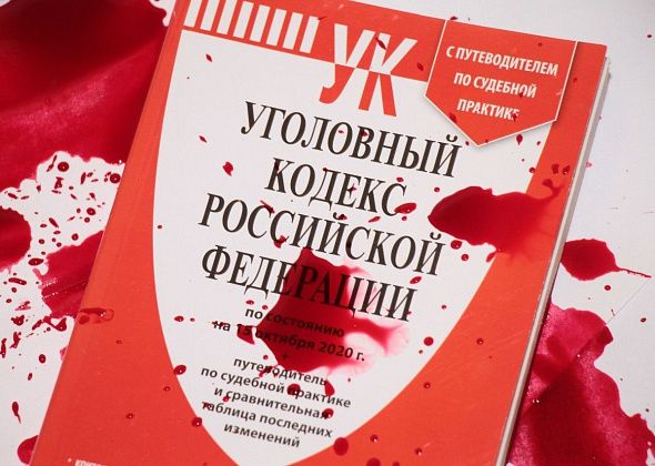 Госдума предлагает снизить возраст ответственности за диверсии до 14 лет