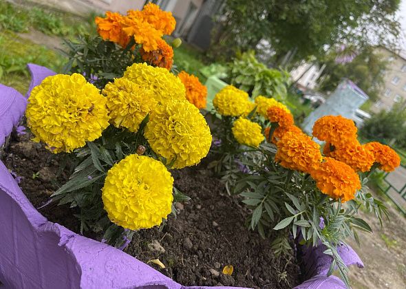 Синоптики обещают теплую и сухую погоду до 5 августа