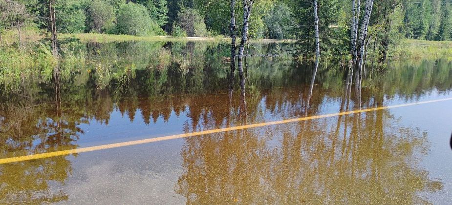 Вода подтопила дорогу между Карпинском и Волчанском