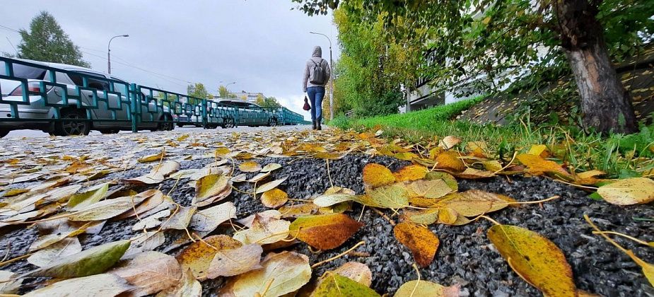 По прогнозам синоптиков, снег на севере области выпадет в ноябре