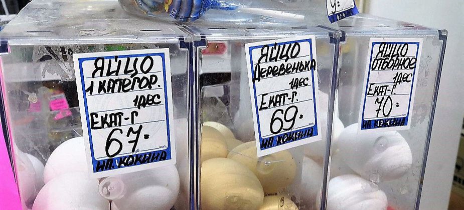 Молоко, яйца, хлеб: что еще подорожало в магазинах? Давайте следить за ценами вместе