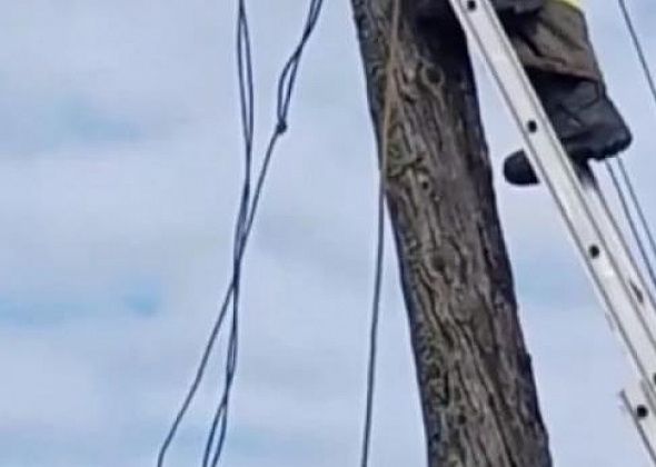 В Волчанске во время работы на столбе погиб электрик 