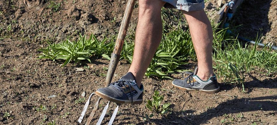 В Госдуме предложили продлить майские выходные до 10 дней