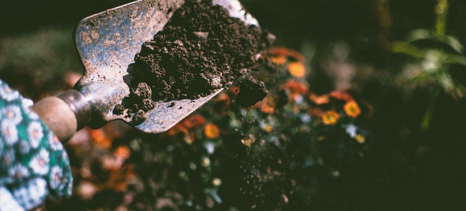 Готовимся к садовому сезону и выбираем удобрения 